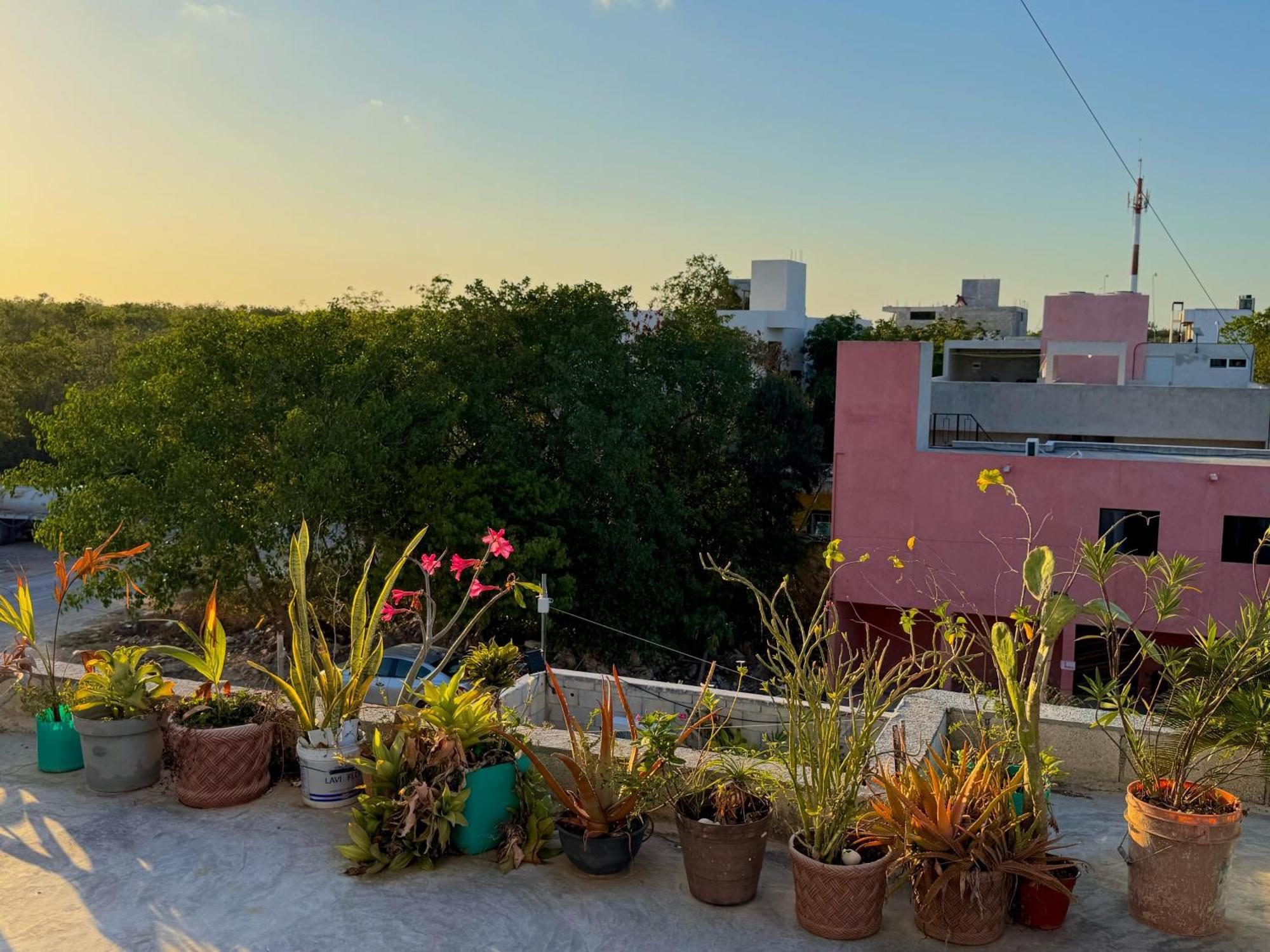 Apartamento Armonia *