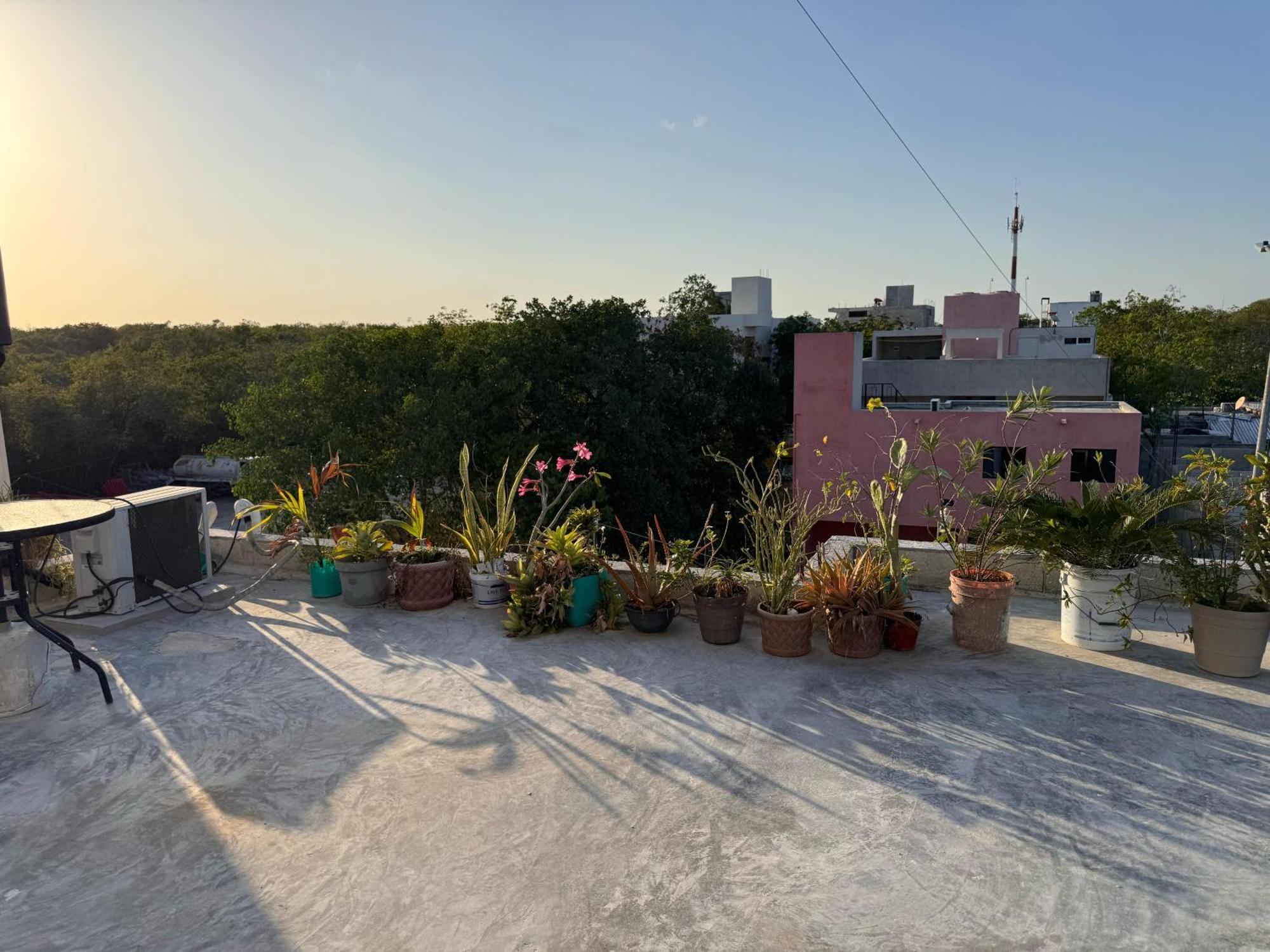 Apartamento Armonia Tulum
